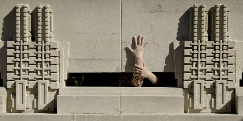 In this video artwork by the artist Clarissa Tossin, the video still shows the performer's hands reacing up from a dark crawl space. You can also see the cheetah print costume sleeve of the performer. On either side of the performer's hands are two sculptural motifs from the Hollyhock House.