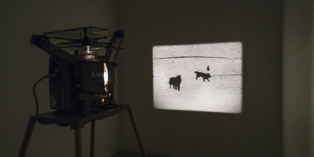 In this artwork by the artist Matthew Lax, a 16 mm video projector is playing a black and white work. The still pictured here features two dogs in the snow.