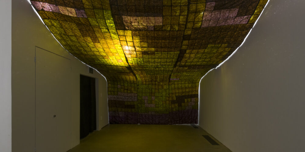 This artwork installation by the artist Hannah Varamini is comprised of various colored seaweed squares stitched together to form a canopy. The canopy covers the ceiling and the far back wall of the room.