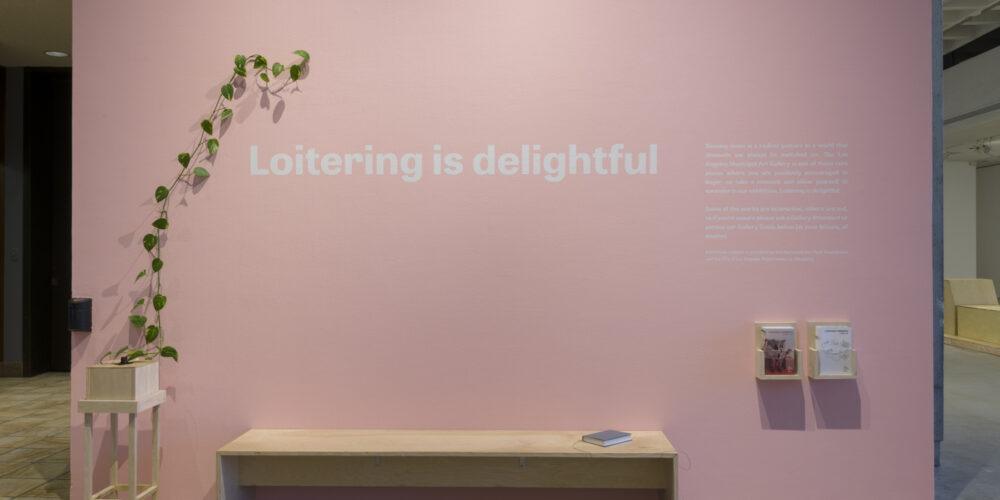 There is a pink painted wall with white lettering that says "Loitering is delightful". To the left of this lettering is a tall green plant hanging on the wall with a wooden planter on the floor. To the right of the lettering is smaller, undecipherable white lettering with two wooden holders for booklets. There is also a wooden bench underneath the "Loitering is delightful" lettering. There is a small grey book on the bench. 