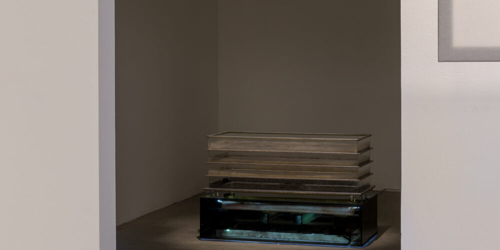 This is a color photograph of two artworks by Lukas Geronimas. The artwork is placed on the floor in a small room and can be seen through an open doorway. The artwork shown in the photo is Airy Copy Lane Chest, a sculptural work with a dimly lit, smoked-plexiglass base containing the elements that failed to be included in the finished version of the object atop the base. The object on top of the base are four tiers of hand-built webbing with puzzle pieces, framed in aluminum and plexiglass and dust. In the foreground in the larger attached room and along the perimeter of the floor and walls is another artwork titled Puzzledust, which is sawdust that was produced, collected and stored by the artist over the past two years