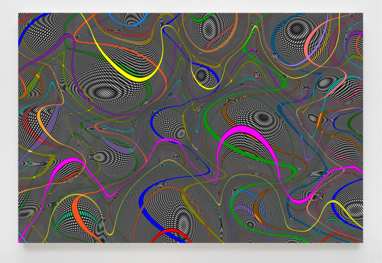 Linda Besemer, Swoop Wavy Bulge, 2013, Acrylic on canvas, 72 x 120 inches, photo credit: Brica Wilcox